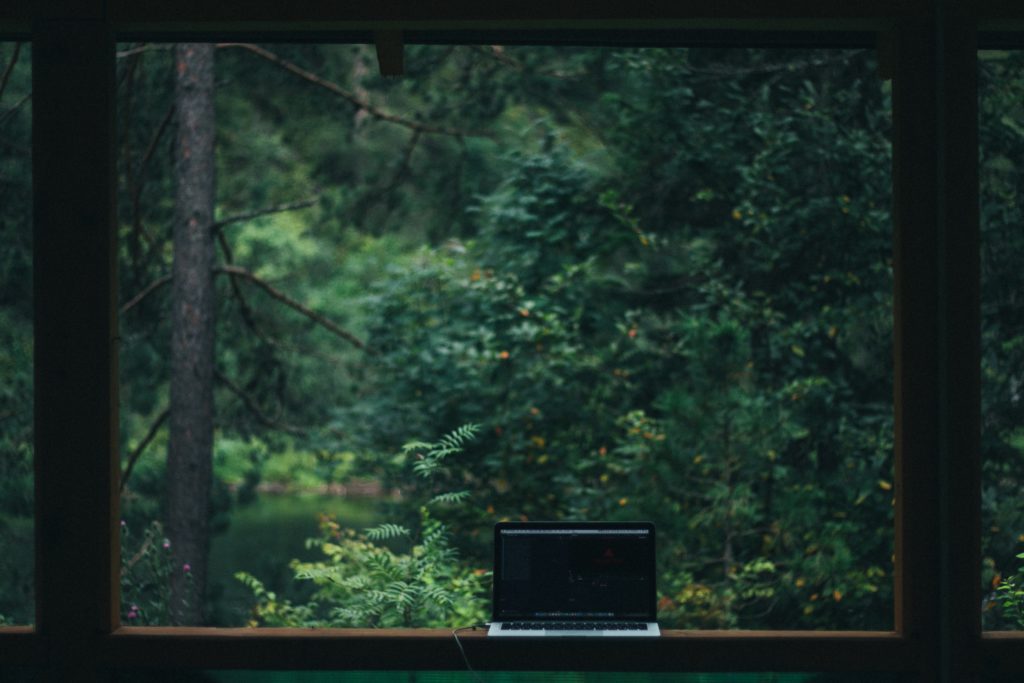 Laptop forest scaled e1624426917452